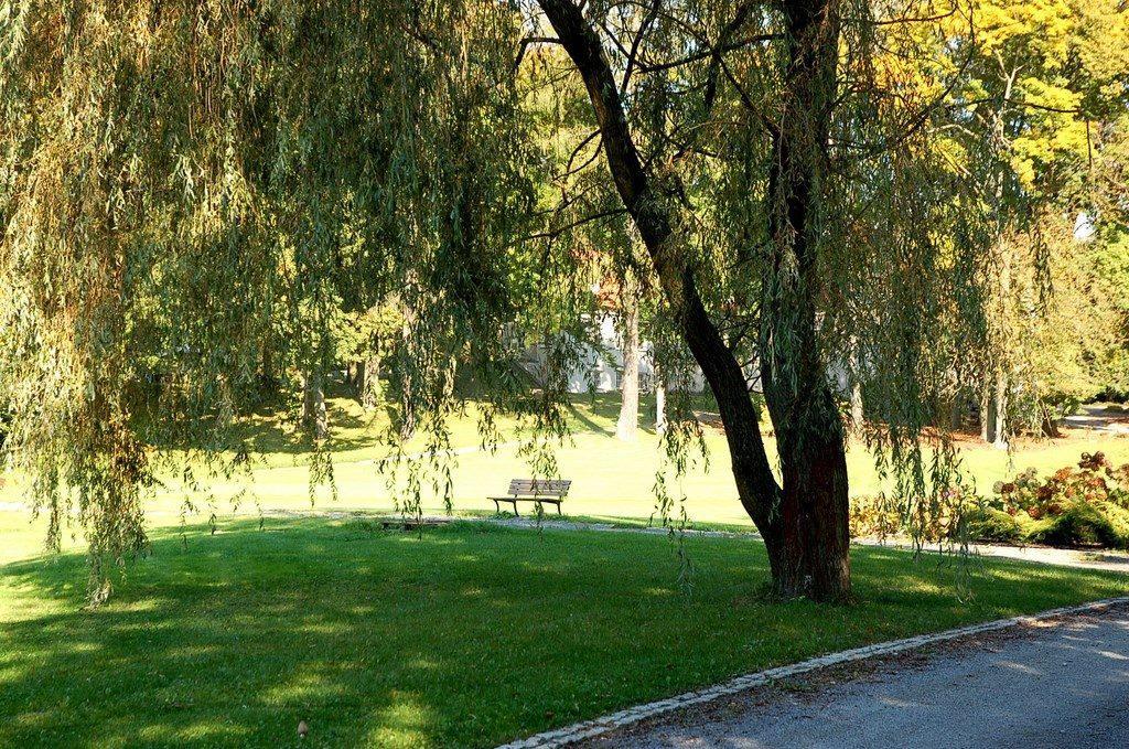 Dwór Sanna Hotel Wierzchowiska Buitenkant foto